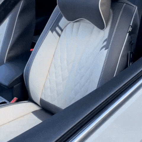 Funda Asiento Vector Cuero Legítimo